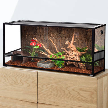 Reptile You ll Love Wayfair